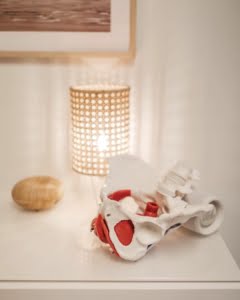 EMG-laite auttaa fysioterapeuttia kartoittamaan lantionpohjan lihasten kuntoa.